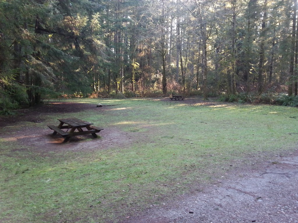 McCormick Forest Park — Washington Trails Association